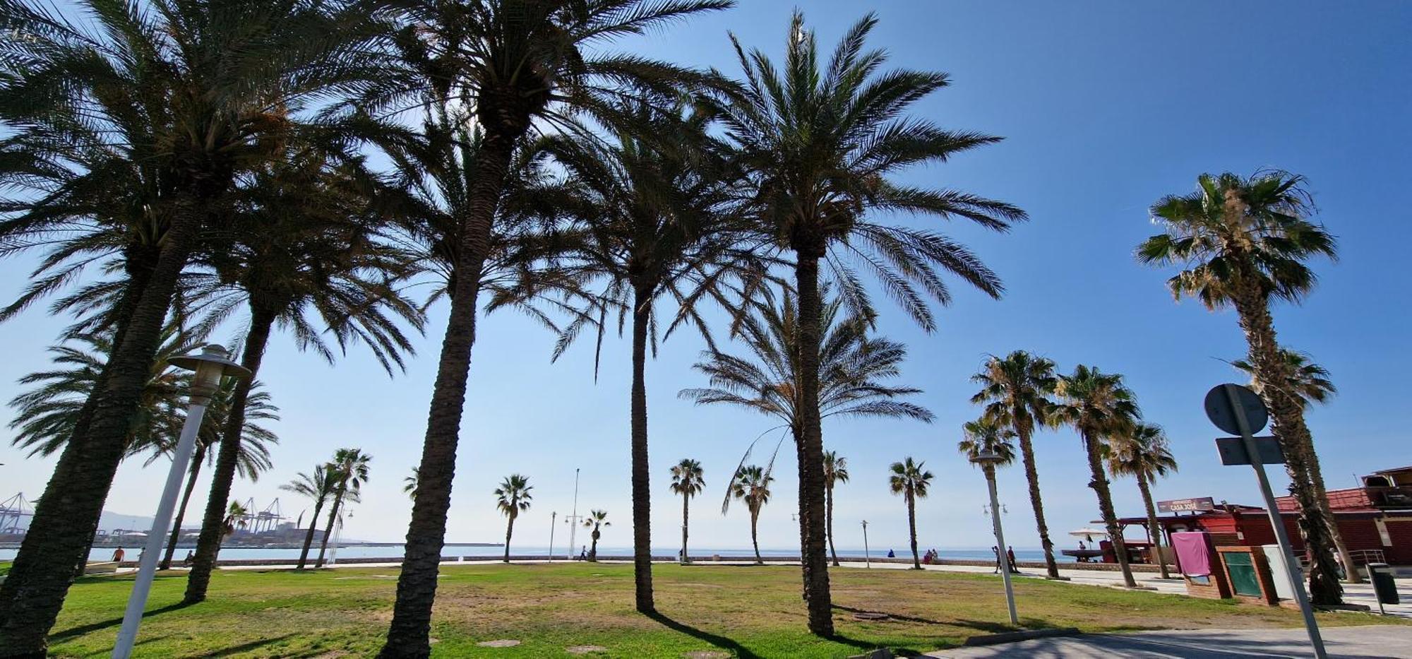 Paloma Beach Μάλαγα Εξωτερικό φωτογραφία